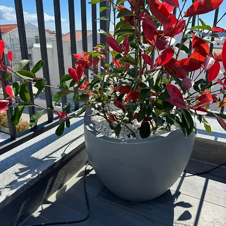 Verica Apartment